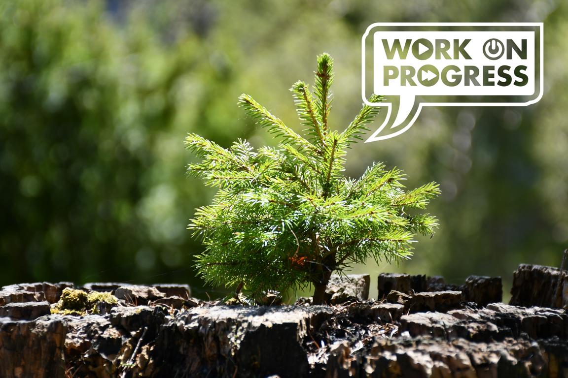 K1024_eZy Watermark_26-03-2026_12-16-59-5330AM